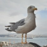 Организатор экскурсии Илья