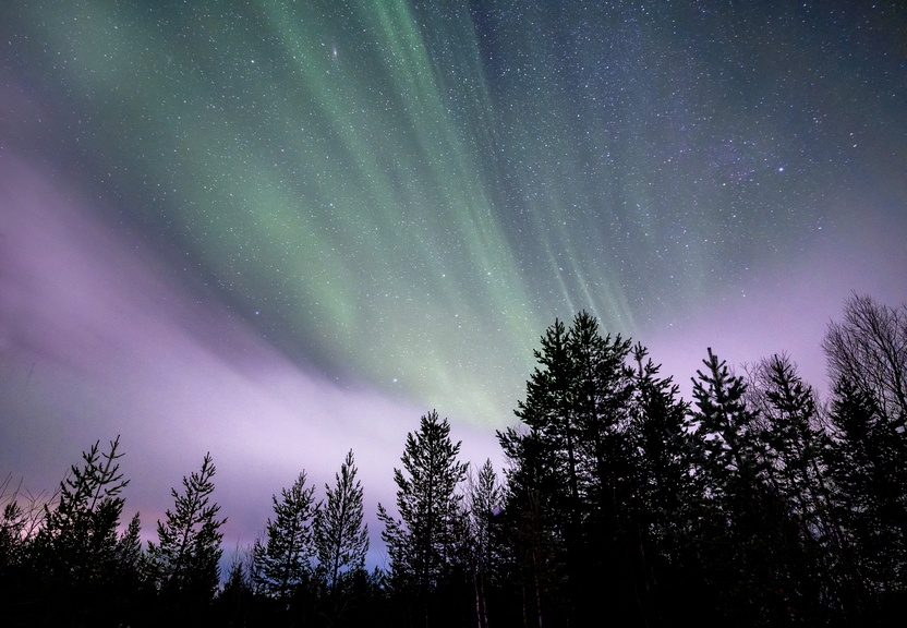 Палитра идей для яркой осени и Поохотиться за Северным сиянием в Мурманске