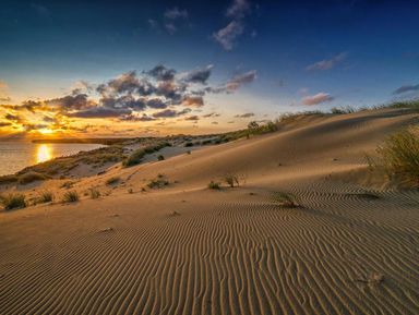 Фото 3 - Экскурсия: "О чем поют пески янтарных дюн: история Куршской косы" Фото 3 - Экскурсия: "О чем поют пески янтарных дюн: история Куршской косы"