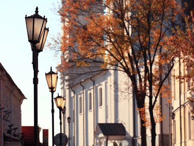 Фото 3 - Экскурсия: "Витебск и музей-усадьба Здравнёво" Фото 3 - Экскурсия: "Витебск и музей-усадьба Здравнёво"