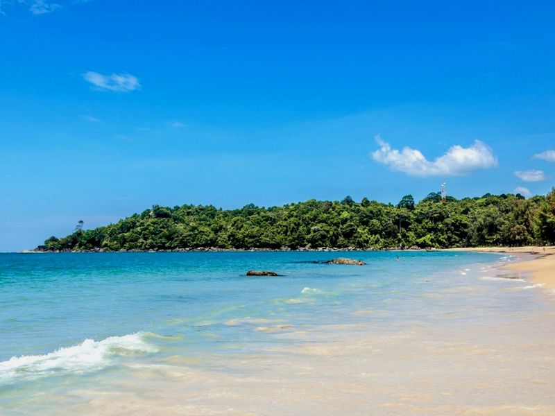 Идеальный день на острове Корал (3/12)