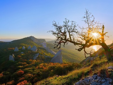 Фото - Экскурсия: "Храм Солнца и Байдарская долина за 1 день" Фото - Экскурсия: "Храм Солнца и Байдарская долина за 1 день"