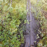 Фото отзыва 3: экскурсия "Сейдозеро — следы древних цивилизаций" Фото отзыва 3: экскурсия "Сейдозеро — следы древних цивилизаций"