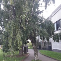 Фото отзыва 4: экскурсия "Прогулка по столице Карелии" Фото отзыва 4: экскурсия "Прогулка по столице Карелии"
