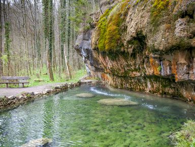 Фото - Экскурсия: "Лесная прогулка по Мюллерталю" Фото - Экскурсия: "Лесная прогулка по Мюллерталю"
