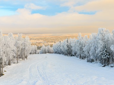 Фото - Экскурсия: "Сердце Хибин: экскурсия из Мурманска в Кировск" Фото - Экскурсия: "Сердце Хибин: экскурсия из Мурманска в Кировск"