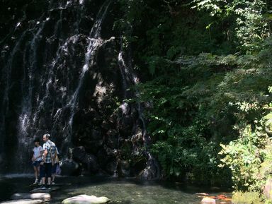Фото 3 - Экскурсия: "Целебные воды Хаконе" Фото 3 - Экскурсия: "Целебные воды Хаконе"