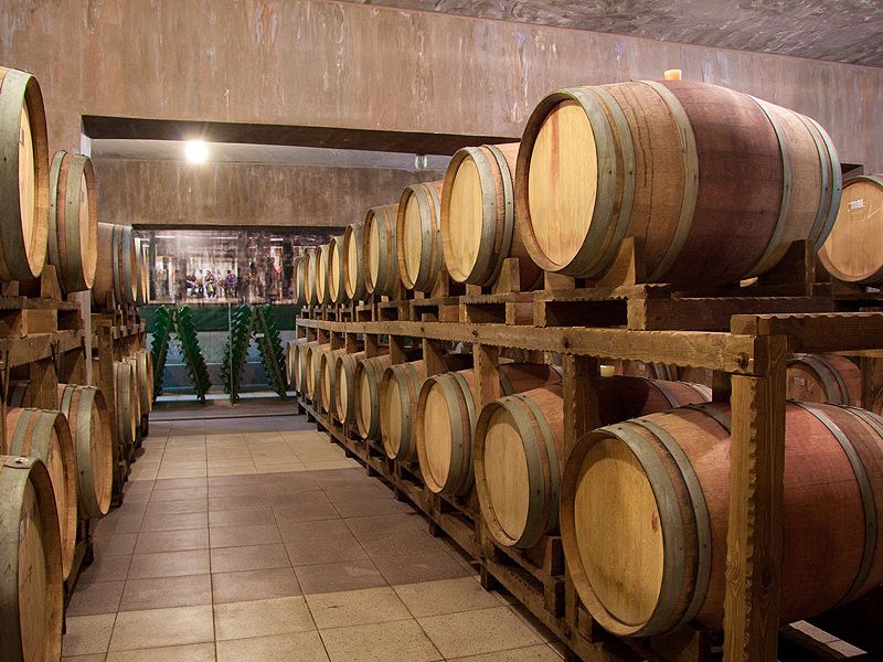 Винный тур в Новороссийске (6/7)