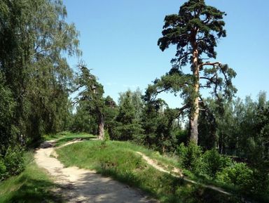 Фото 3 - Экскурсия: "В древний Городец" Фото 3 - Экскурсия: "В древний Городец"
