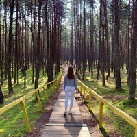 Фото отзыва 1: экскурсия "Куршская коса — царство моря, дюн и птичьих голосов" Фото отзыва 1: экскурсия "Куршская коса — царство моря, дюн и птичьих голосов"