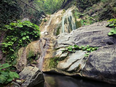Фото 3 - Экскурсия: "Три секретных водопада: путешествие из Лазаревского" Фото 3 - Экскурсия: "Три секретных водопада: путешествие из Лазаревского"