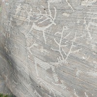 Фото отзыва 4: экскурсия "Укротившая Енисей: экскурсия на Саяно-Шушенскую ГЭС" Фото отзыва 4: экскурсия "Укротившая Енисей: экскурсия на Саяно-Шушенскую ГЭС"