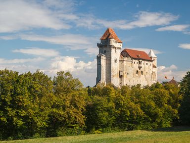 Сокровища Венского леса