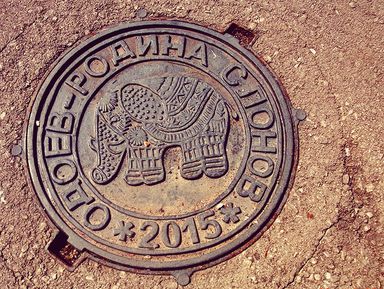 Фото - Экскурсия: "Из Тулы в Одоев — на родину слонов!" Фото - Экскурсия: "Из Тулы в Одоев — на родину слонов!"