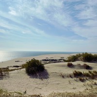 Фото отзыва 4: экскурсия "Куршская коса — царство моря, дюн и птичьих голосов" Фото отзыва 4: экскурсия "Куршская коса — царство моря, дюн и птичьих голосов"