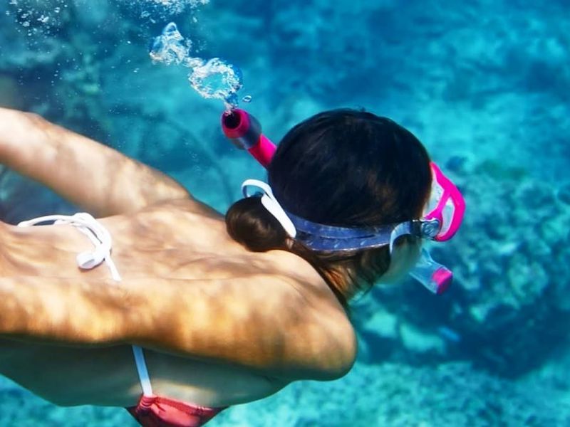 Идеальный день на острове Корал (5/12)