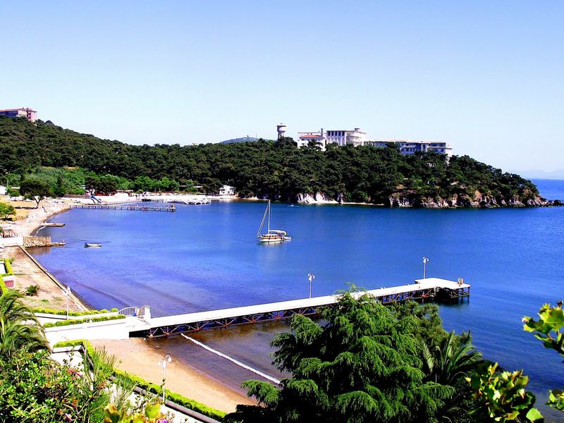 Вино и сыр по-турецки (6/8)