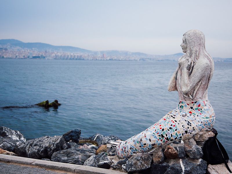 Вино и сыр по-турецки (8/8)