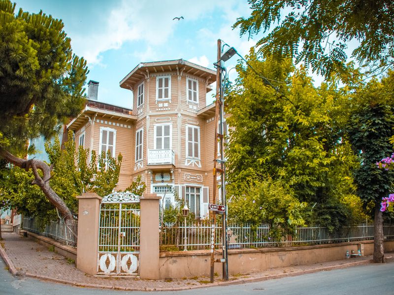 Вино и сыр по-турецки (4/8)