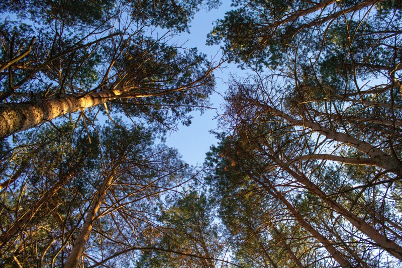 Фото авторского тура 4 "Железноводск, Пятигорск и Эльбрус" Фото авторского тура 4 "Железноводск, Пятигорск и Эльбрус"