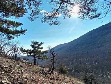 Фото 2 - Экскурсия: "Дорогой древних: Сераус и Алуштинский кромлех" Фото 2 - Экскурсия: "Дорогой древних: Сераус и Алуштинский кромлех"