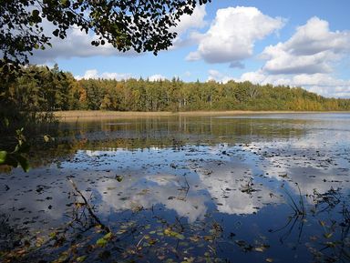 Фото 3 - Экскурсия: "Велопрогулка к Мещерским озерам" Фото 3 - Экскурсия: "Велопрогулка к Мещерским озерам"