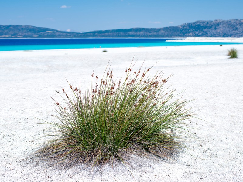 Богатства Ыспарты: поля дамасской розы и озеро Салда из Алании (15/18)