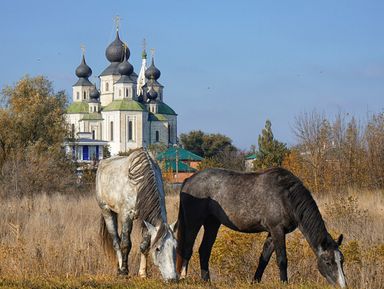 Святыни Донского края