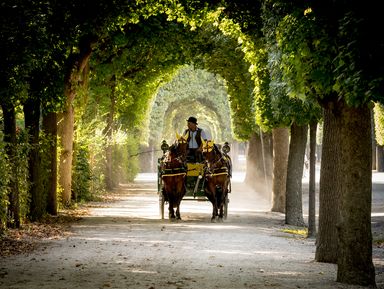 Фото - Экскурсия: "Неспешная прогулка по парку Шёнбрунн" Фото - Экскурсия: "Неспешная прогулка по парку Шёнбрунн"