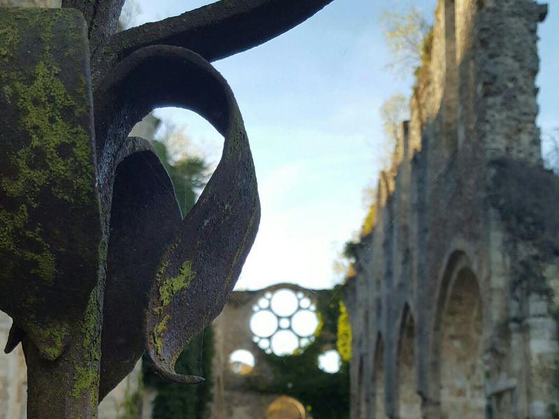 Аббатство Во де Серне - путешествие в мир прекрасного (19/20)