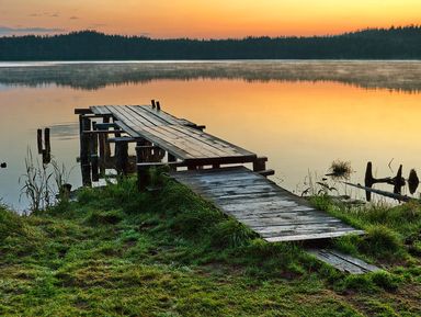 Фото - Экскурсия: "Велопрогулка к Мещерским озерам"