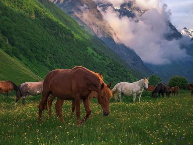 Фото - Экскурсия: "Большое путешествие по Северной Осетии" Фото - Экскурсия: "Большое путешествие по Северной Осетии"