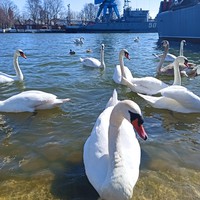 Фото отзыва 5: экскурсия "Национальный парк «Куршская коса», форт №3 и замок Нессельбек" Фото отзыва 5: экскурсия "Национальный парк «Куршская коса», форт №3 и замок Нессельбек"