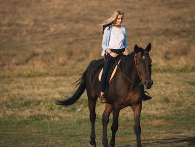 Конная прогулка к лесному озеру