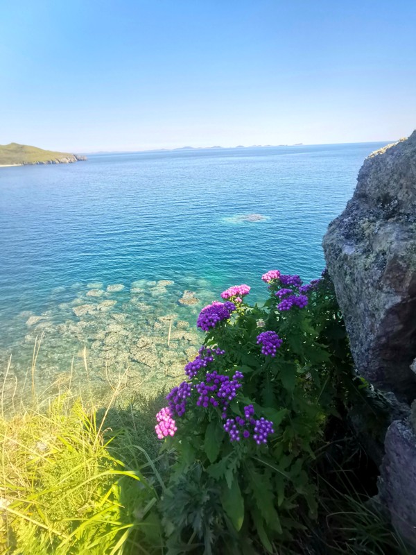 Один день дальневосточника. Мыс Брюса + Кравцовские водопады + «Земля леопарда» + китайская кухня