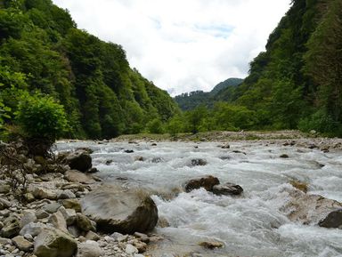 Фото 3 - Экскурсия: "Из Кутаиси — в удивительную Мегрелию!" Фото 3 - Экскурсия: "Из Кутаиси — в удивительную Мегрелию!"