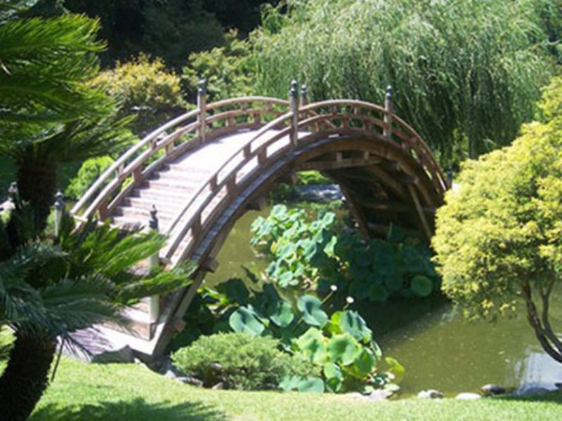 Прогулка по Центральному парку (7/7)