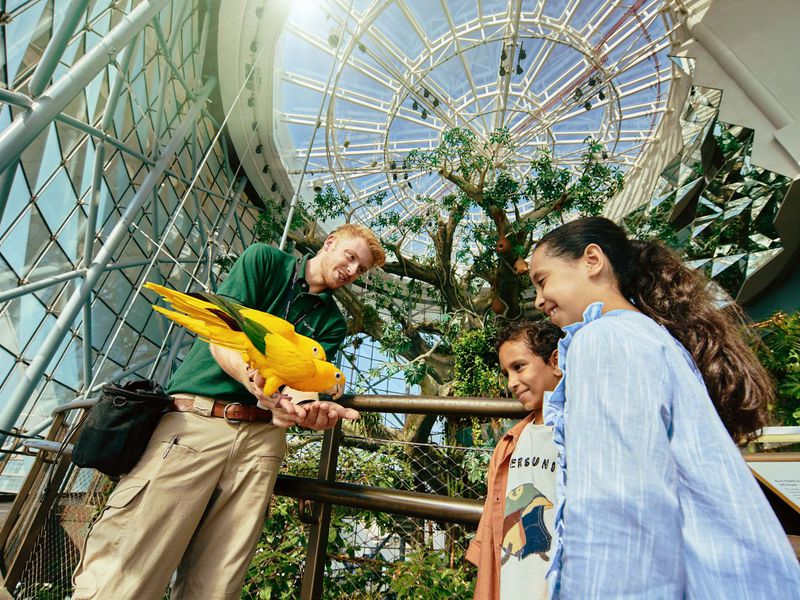 Фото 2 - Экскурсия: "В мире животных: Dubai Safari Park и The Green Planet"