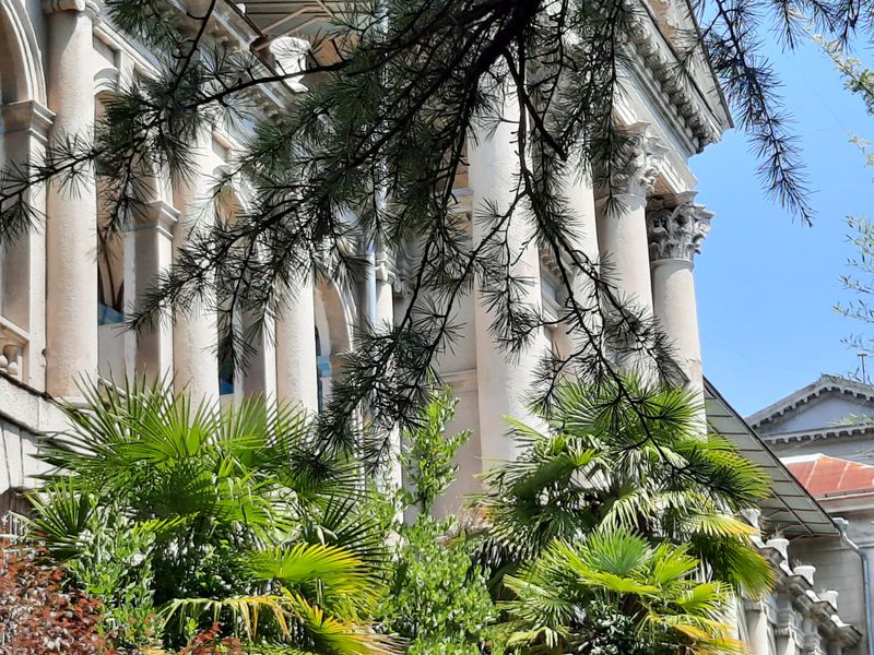 Экскурсия в Таинственный мир советского санатория Сочи (9/10)