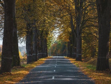 Фото - Экскурсия: "Великие люди дорогами Кёнигсберга" Фото - Экскурсия: "Великие люди дорогами Кёнигсберга"