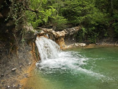 Фото - Экскурсия: "Джиппинг к Пшадским водопадам" Фото - Экскурсия: "Джиппинг к Пшадским водопадам"