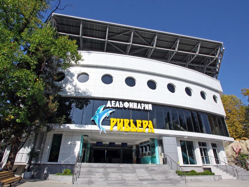 Детский квест в парке Ривьера (13/15)