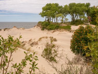 Фото - Экскурсия: "Куршская краса — песчаная коса" Фото - Экскурсия: "Куршская краса — песчаная коса"