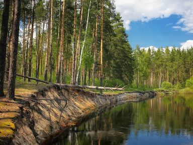 Фото 3 - Экскурсия: "Душевный Касимов — город двух культур" Фото 3 - Экскурсия: "Душевный Касимов — город двух культур"