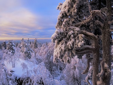 Фото 3 - Экскурсия: "Каменный город — чудо пермской тайги" Фото 3 - Экскурсия: "Каменный город — чудо пермской тайги"
