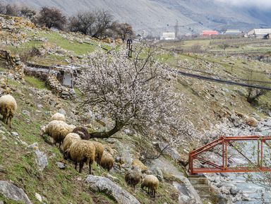 Фото 2 - Экскурсия: "Из Нальчика — в Верхнюю Балкарию!" Фото 2 - Экскурсия: "Из Нальчика — в Верхнюю Балкарию!"