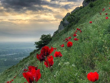 Фото 2 - Экскурсия: "Прогулка-ретрит по местам силы горы Бештау" Фото 2 - Экскурсия: "Прогулка-ретрит по местам силы горы Бештау"