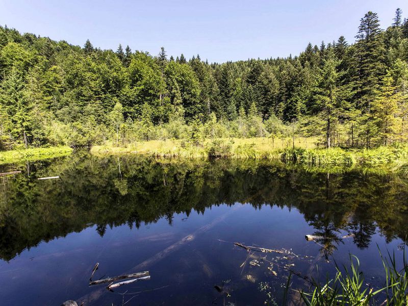 Из Львова — к вершинам Карпатских гор (6/7)