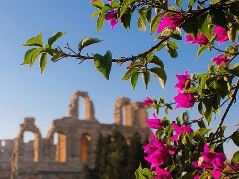 Африканский Колизей и Вилла Африка — поездка из Хаммамета (5/7)