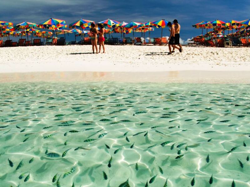 Поездка на три острова Кхай (7/13)